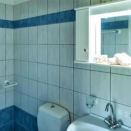 Zois * ניקיאנה