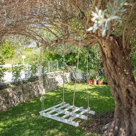 Zois ניקיאנה
